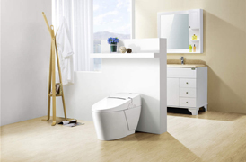 ����������ϵ��